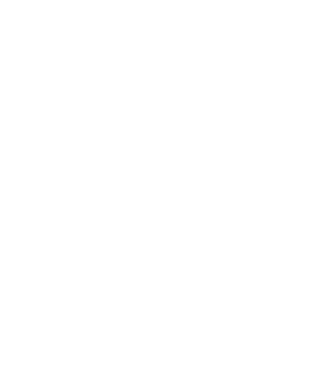 Sorgent